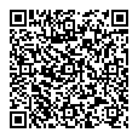 79211500911