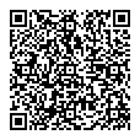 79215099533
