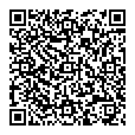 79215202877