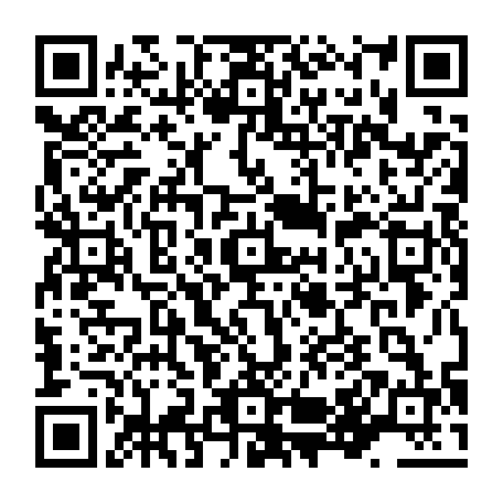 79216011008