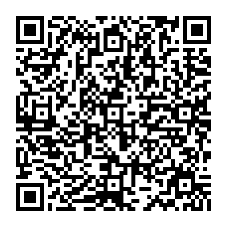 79216050295