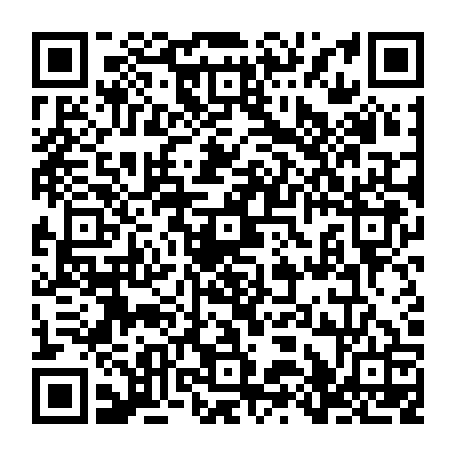 79216100295