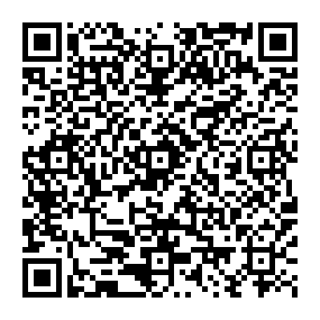 79216601333