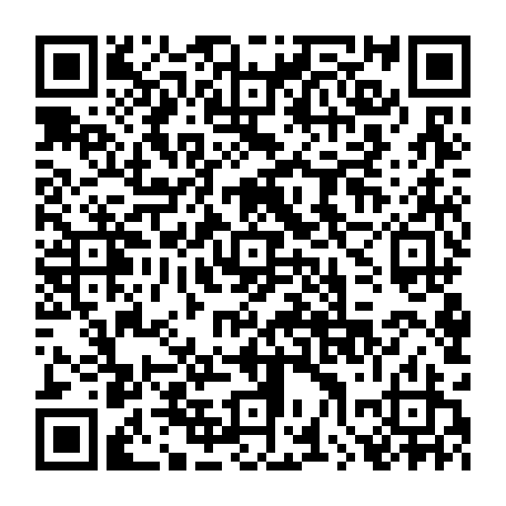 79217050461