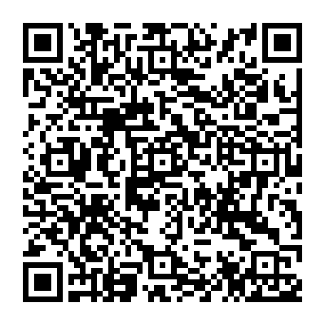 79217050590