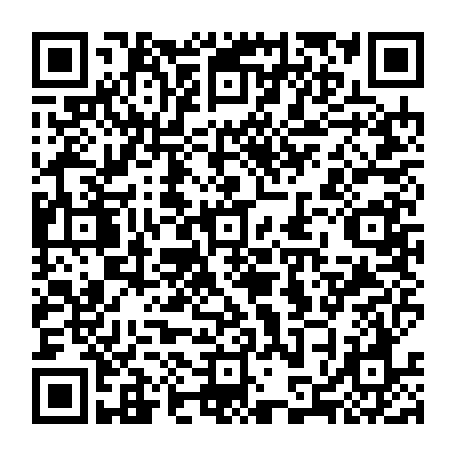 79218004079