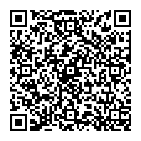 79218501831