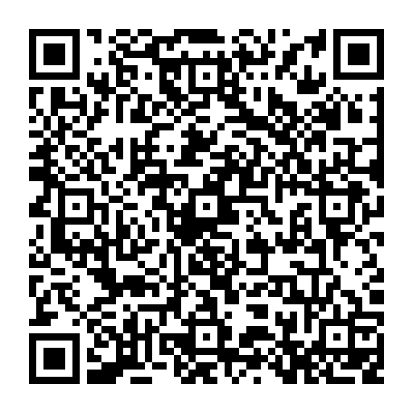 79218503204