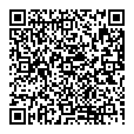 79218503806