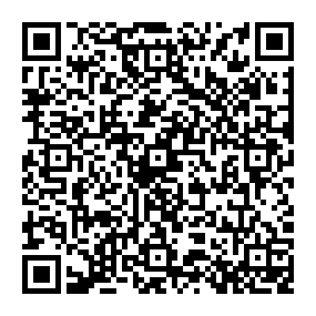 79218503831