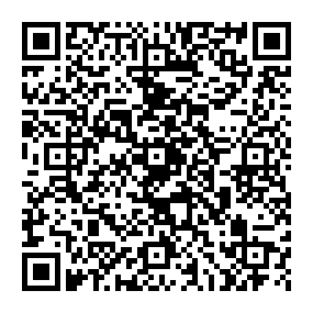79218504381