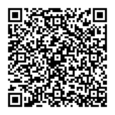79218504538