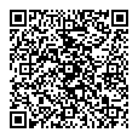 79218504539