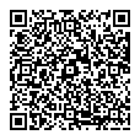 79218505539