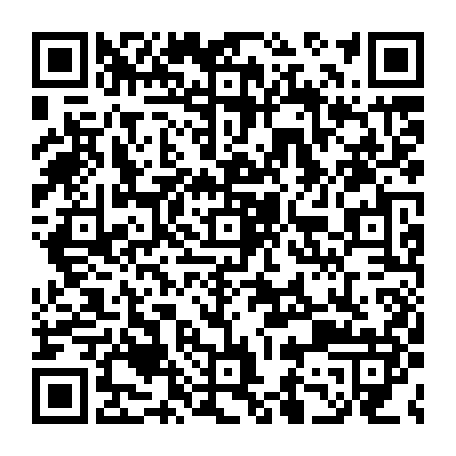 79230533204