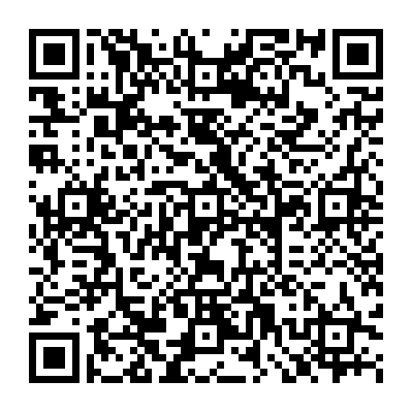 79230533217