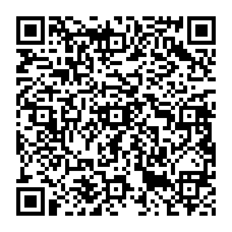 79238229504
