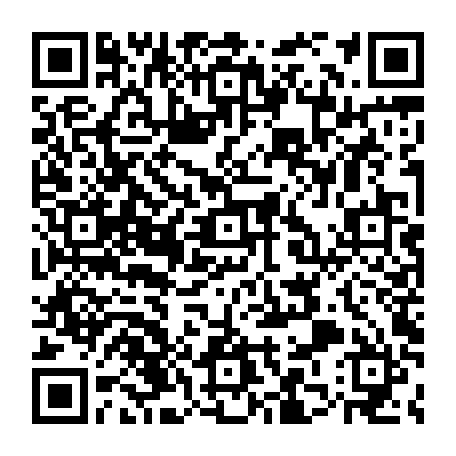 79255004881