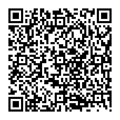 79256554011