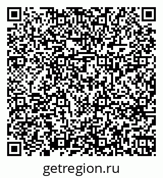79262619558