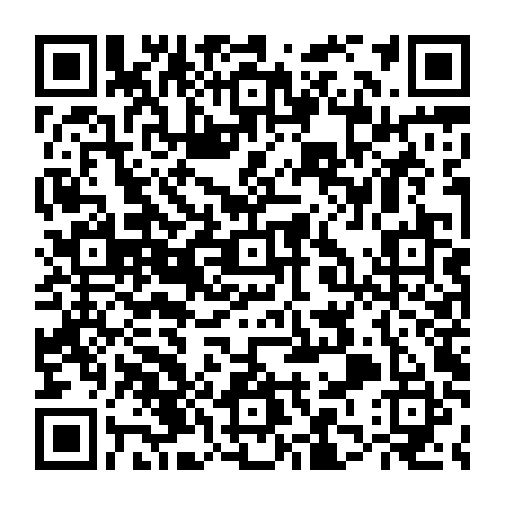 79264637294