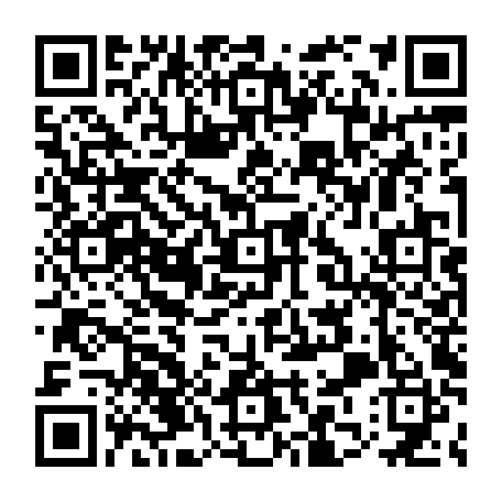 79264882213