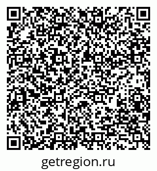 79280202041
