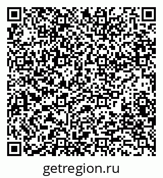 79280204411