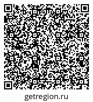 79280600311