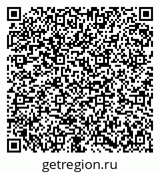 79282004081