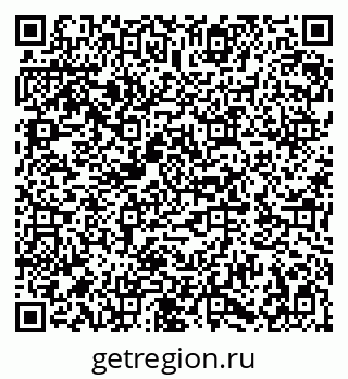 79282010081