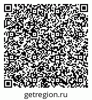 79282024995
