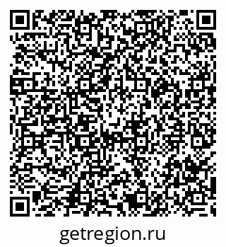 79290004955