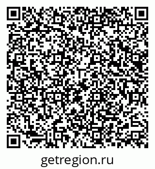 79290020041