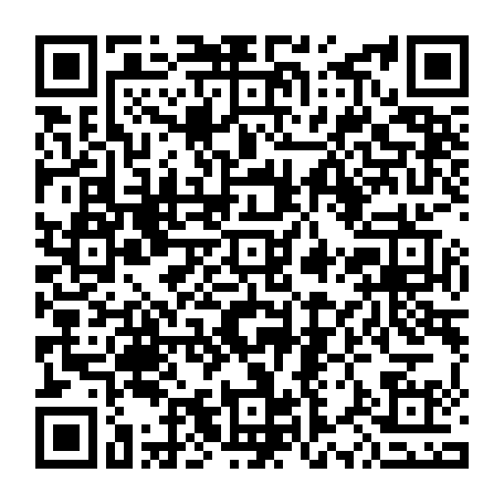 79290271333