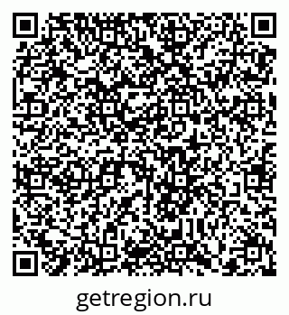79290335558