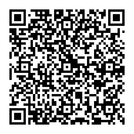 79290350411