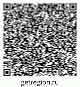 79290645669