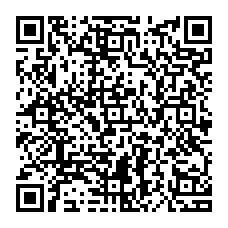 79290700411