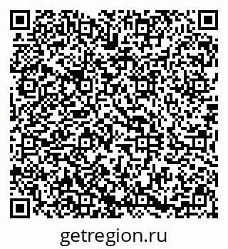 79290800558