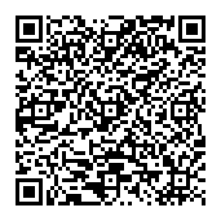 79295995217