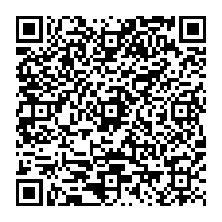79300006333