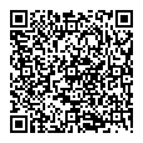 79300050334
