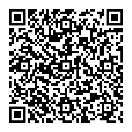 79300050953