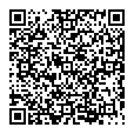 79300300241
