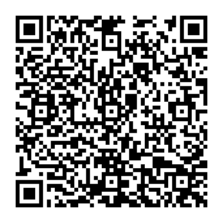 79300370061