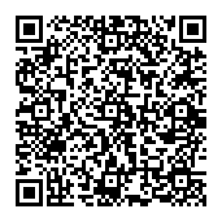 79300600494