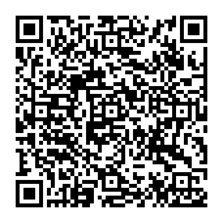 79300600531