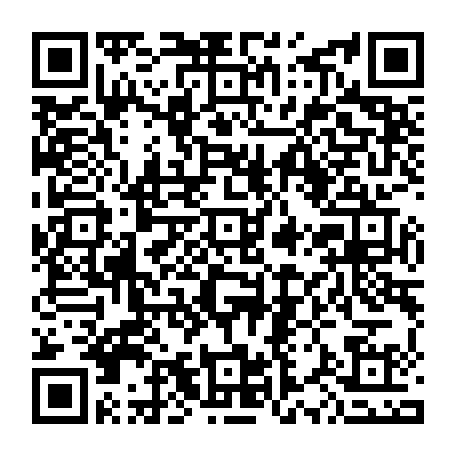 79300600533