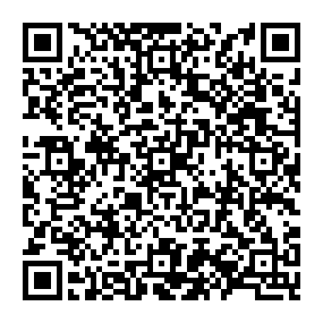79300635293